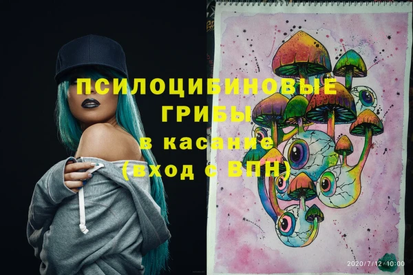 ПСИЛОЦИБИНОВЫЕ ГРИБЫ Новозыбков