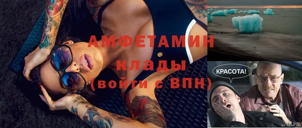 гидра Белокуриха